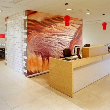 Poli Dermatologie -  Studio Parade